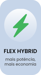 Flex Hybrid